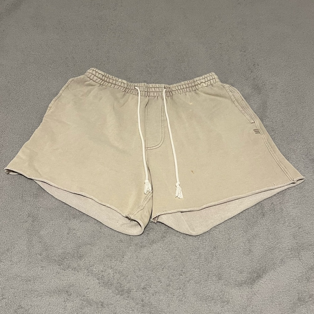 BDG Men's Tan Casual Shorts